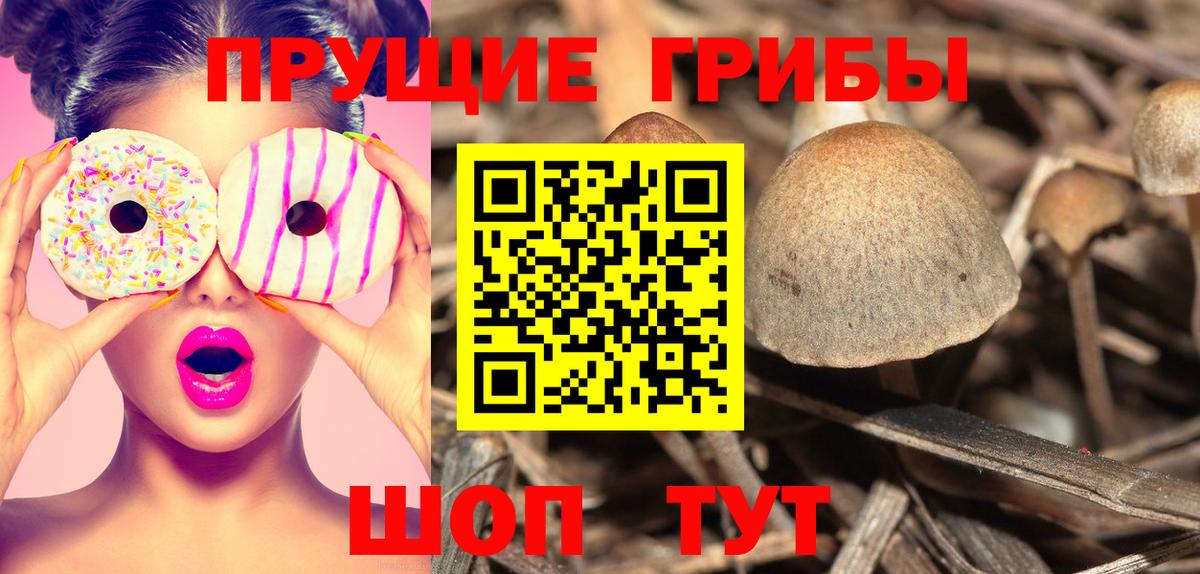 Псилоцибиновые грибы Cubensis  Галлюциногенные грибы прущие грибы  Вход с VPN  Назрань 